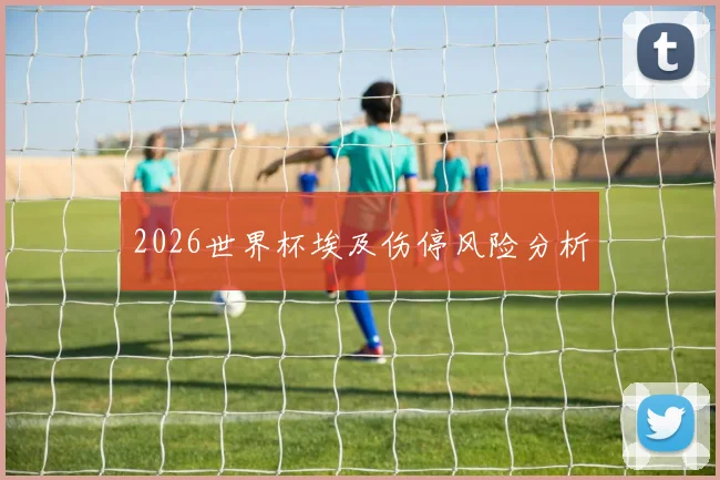 2026世界杯埃及伤停风险分析