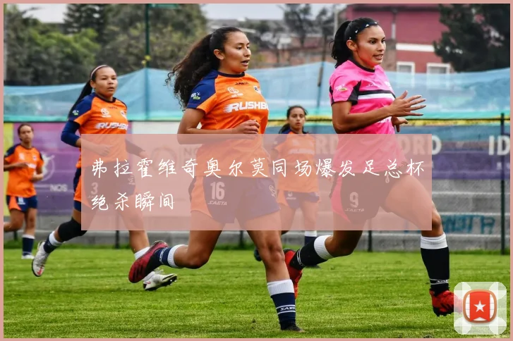 弗拉霍维奇奥尔莫同场爆发足总杯绝杀瞬间