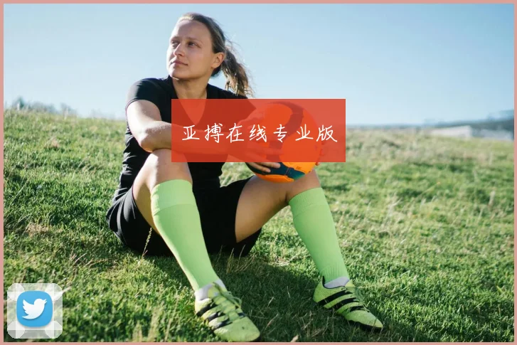亚搏在线专业版