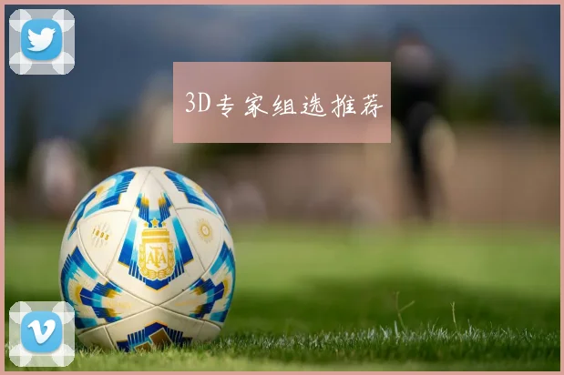 3D专家组选推荐