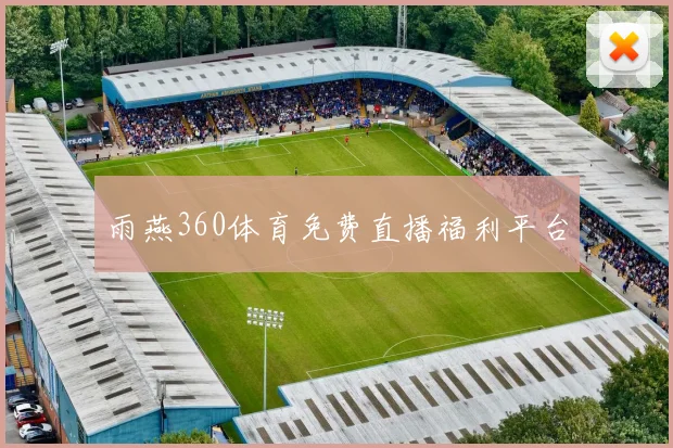 雨燕360体育免费直播福利平台
