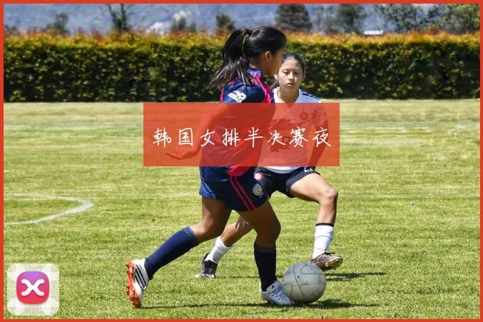 韩国女排半决赛夜