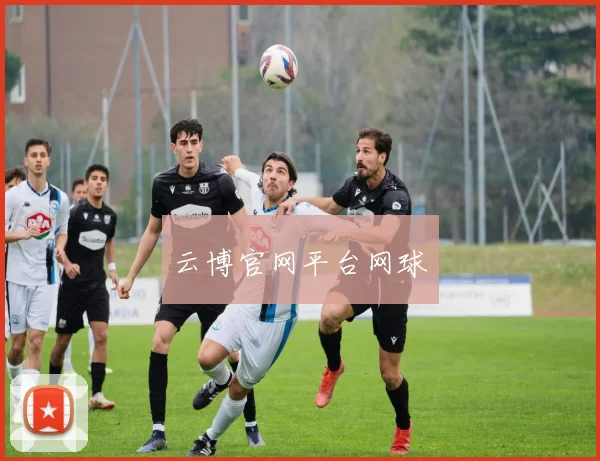 云博官网平台网球