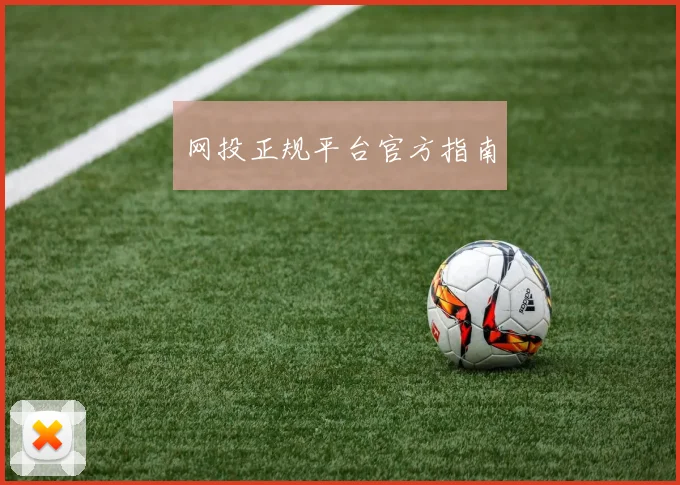 网投正规平台官方指南