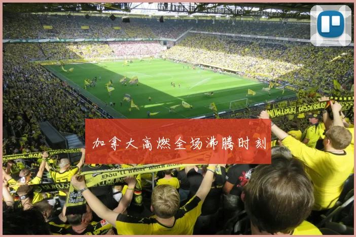 加拿大高燃全场沸腾时刻