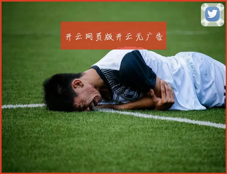 开云网页版开云无广告
