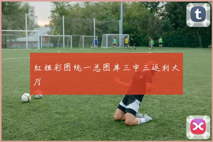 红姐彩图统一总图库三中三返利大厅