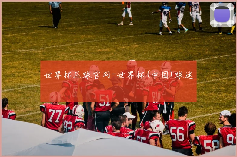 世界杯压球官网-世界杯(中国)球迷