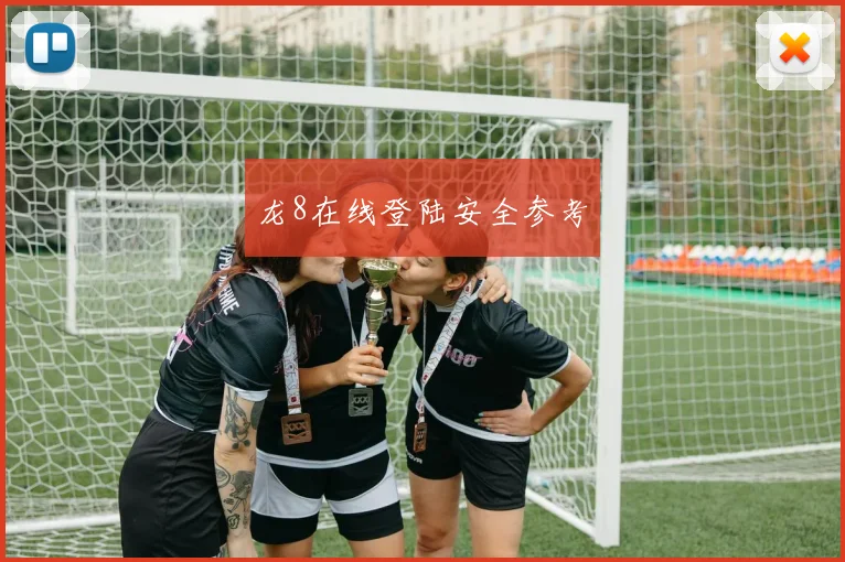 龙8在线登陆安全参考