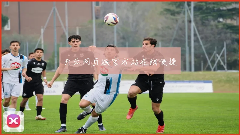 开云网页版官方站在线便捷