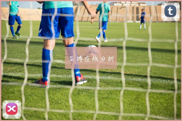 亚搏在线分析