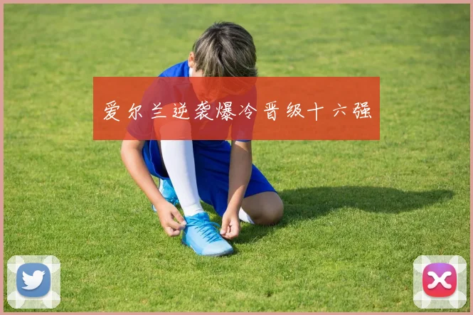 爱尔兰逆袭爆冷晋级十六强