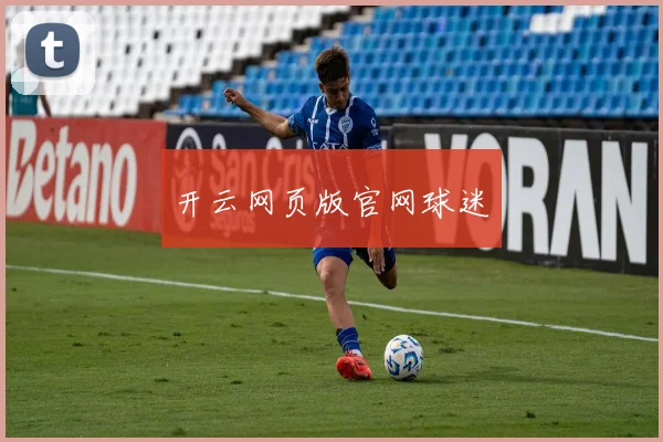 开云网页版官网球迷