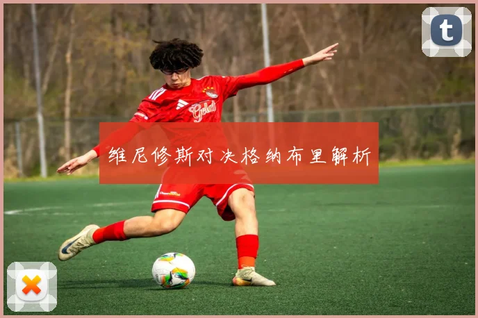维尼修斯对决格纳布里解析