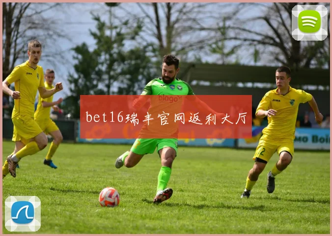 bet16瑞丰官网返利大厅