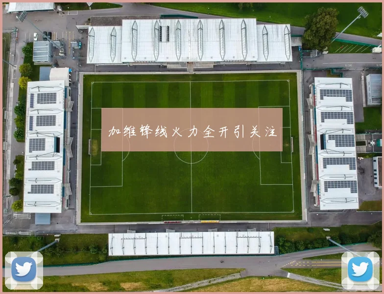 加维锋线火力全开引关注
