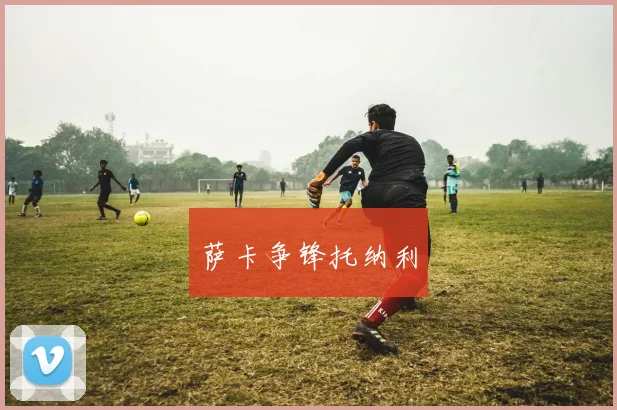 萨卡争锋托纳利