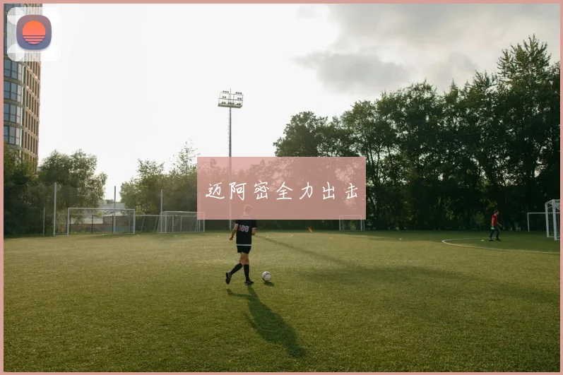 迈阿密全力出击
