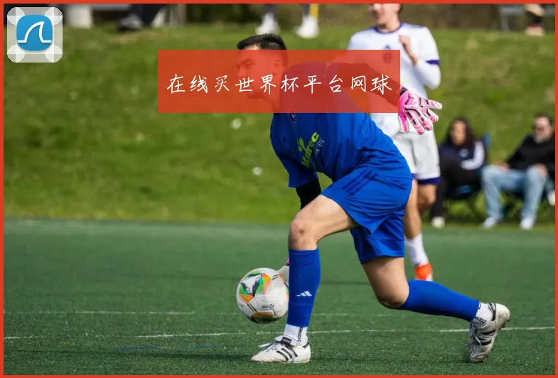 在线买世界杯平台网球