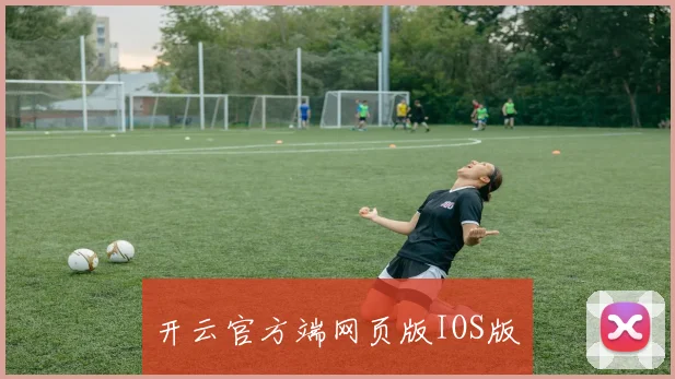 开云官方端网页版IOS版