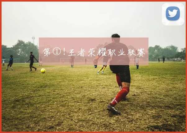 第①!王者荣耀职业联赛