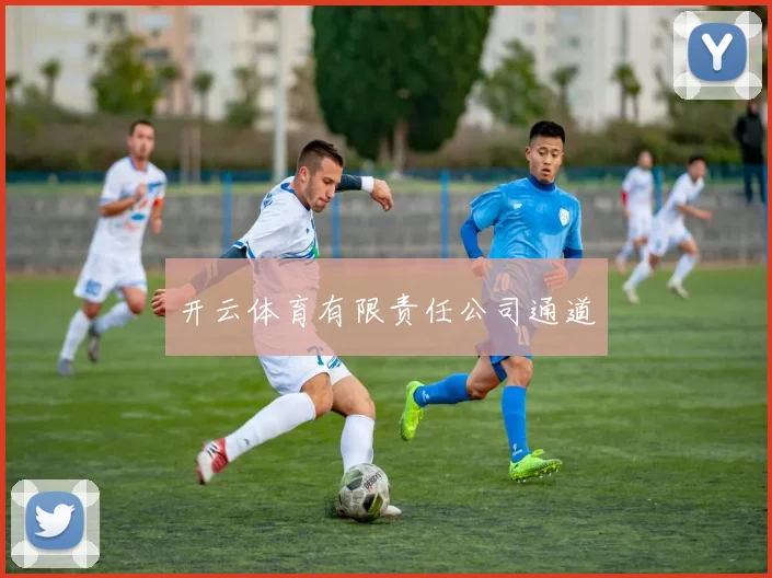开云体育有限责任公司通道