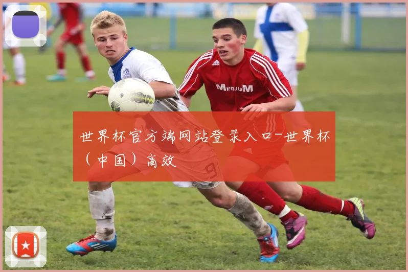 世界杯官方端网站登录入口-世界杯（中国）高效