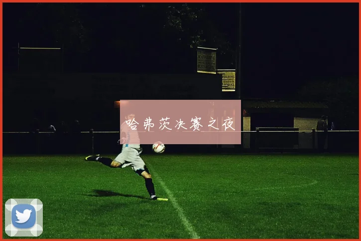 哈弗茨决赛之夜
