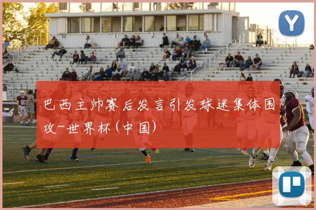 巴西主帅赛后发言引发球迷集体围攻-世界杯(中国)
