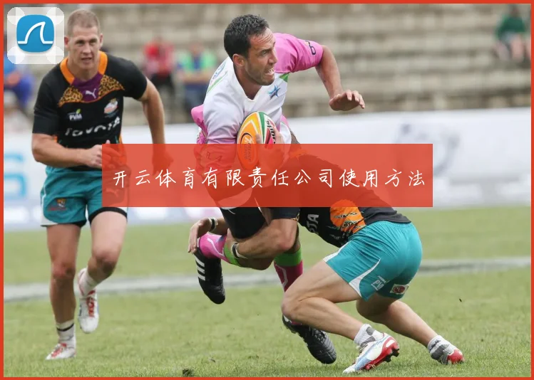 开云体育有限责任公司使用方法
