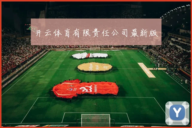 开云体育有限责任公司最新版