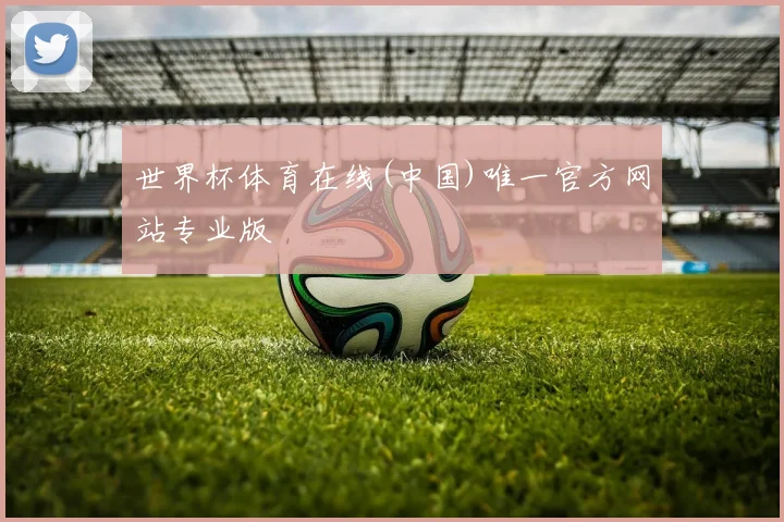 世界杯体育在线(中国)唯一官方网站专业版