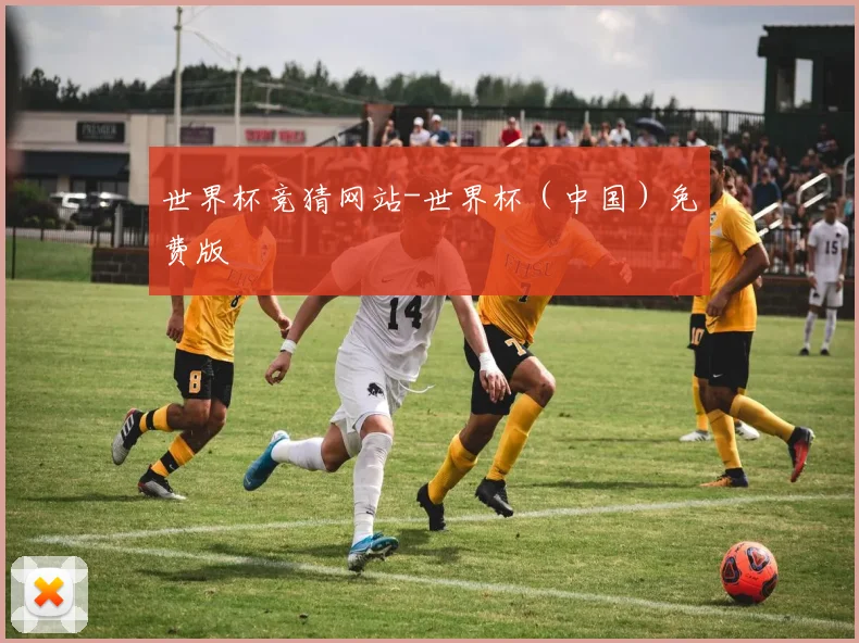 世界杯竞猜网站-世界杯（中国）免费版
