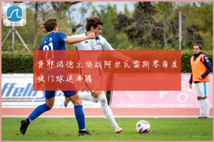 费耶诺德主场战阿尔瓦雷斯零角度破门球迷沸腾