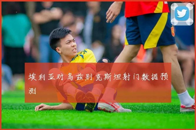 埃利亚对乌兹别克斯坦射门数据预测